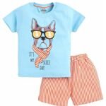 Boys Casual T-shirt & Shorts Set